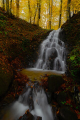 Image of colorful leaves falling down from tree branches in autumn. (Yedig&ouml;ller). Yedigoller National Park, Bolu, Istanbul. Turkey.