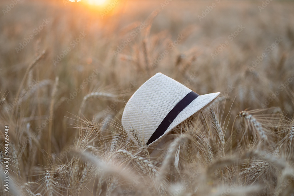 Wall mural a straw hat is lying on a wheat field in the rays of the setting sun.. harvesting, good harvest