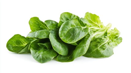 Fototapeta premium Fresh, tender baby cos lettuce with vibrant green leaves rests on a pristine white backdrop, inviting culinary exploration and healthy indulgence.