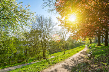 Fototapeta premium Beautiful spring day in a park (Schröders Elbpark) near the Elbe River in Hamburg, Germany