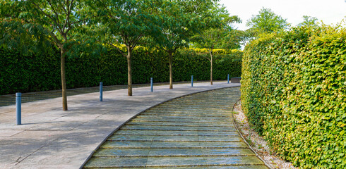 in a public park in summer - panorama