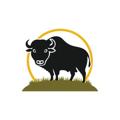 black and white buffalo