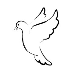 Dove peace. Symbol hope and striving for harmony. White dove holding an olive branch in its beak. New beginning and improvement of life. Bird of happiness.