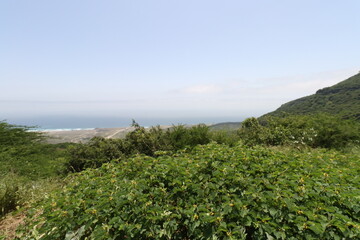 Green grass on the mountainside with sea and blue sky