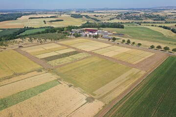 Paysage agricole 