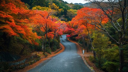 Obraz premium A Journey Through Autumn's Tapestry: Vibrant Landscapes of Japan