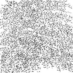 Snow, stars, fairy twinkling lights, rain drops on black background. Abstract vector noise. Small particles of debris and dust. Distressed uneven grunge texture overlay.
