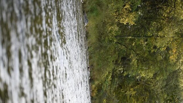 nature
