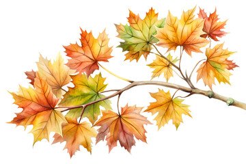 Watercolor autumn branch with vibrant leaves