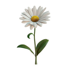 Fototapeta premium daisy isolated on transparent background, clipping path, png, 
