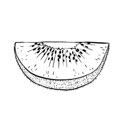 Kiwi wedge outline drawing, doodle vector illustration, sketch style, black line drawing, isolated on white background