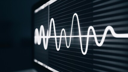 Obraz premium Monochrome digital waveforms on a computer screen