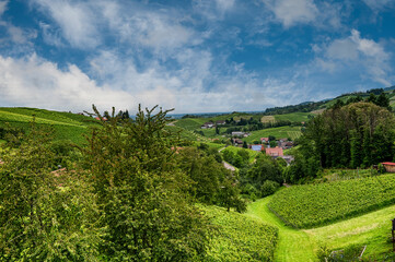 Sasbachwalden is a municipality in the district of Ortenau, Baden-Württemberg, Germany. It is located on the western slope of the Hornisgrinde mountain.