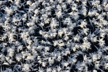 Glaciology. Young freshwater ice with characteristic tabular crystals of perspiration on the...