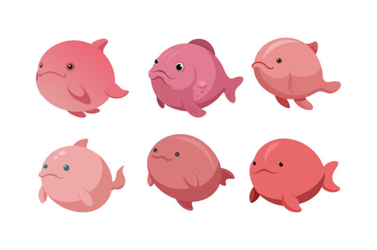  Wonderful creature Blob fish vector artwork