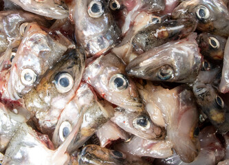 The background is fish waste, jowl. The fish heads are cut off and collected in a pile for processing into fishmeal. Fish eyes as a focusing object