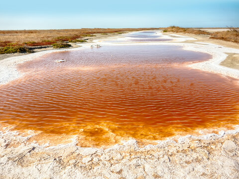 A watercourse of varying degrees of salinity from a hypersalted lake. The bitter-salty river. Red water because the bacteria Red color caused by bacterias Dunaliella salina, Salinibacter ruber