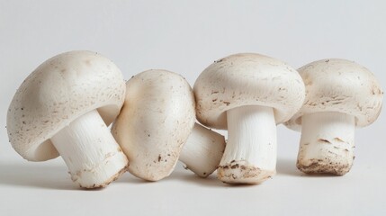 A close-up of fresh Champignon mushrooms with their smooth, white caps and firm stems, set against a clean white background to highlight their details.