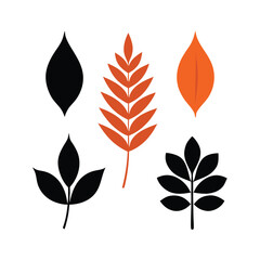 Autumn leaves collection vector silhouette, isolated white background, 