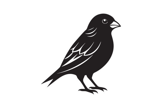 recommend clip art: Finch bird silhouette vector illustration