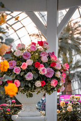 flowers in a pot in a garden