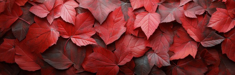 Vibrant red leaves blanket the ground in a serene autumn setting during late afternoon