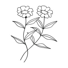 Hand-drawn line art blooming flowers. Design for invitations, tattoos and backgrounds, botanical .Vector illustration