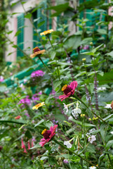 Colourful flowers in the garden at the impressionist painter, Claude Monet's house in Giverny, Normandy, France. 
