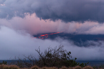 mauna loa eruption