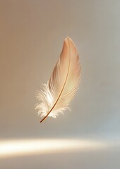 Naklejka premium A feather is suspended in midair, with its tip pointing upwards