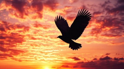 A powerful image of a bird in flight, captured as a silhouette against a dramatic sunset sky, highlighting the wingspan and motion of the bird.
