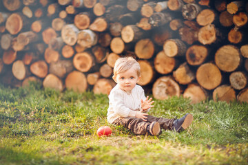 Adorable baby boy sitting on the grass and playing with red apple in front of a pile of firewood background