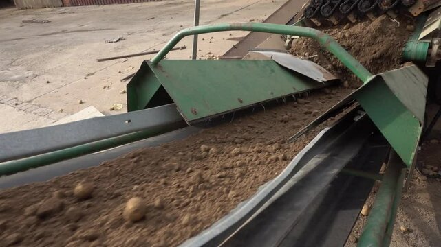 Erde wird w&auml;hrend der ernte ausgesiebt und &uuml;ber ein F&ouml;rderband abtransportiert