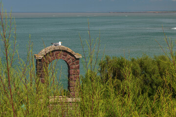A seagull on a red stone building by the sea in Biarritz zn France