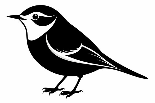 recommend clip art: Nuthatch birds silhouette vector illustration on a white background 