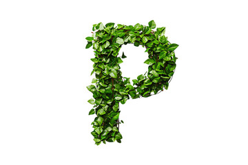 Letter P with Green Leaves and Botanical Typography, Nature-Inspired Alphabet Design on Transparent Background, Perfect for Eco-Friendly and Decorative Themes