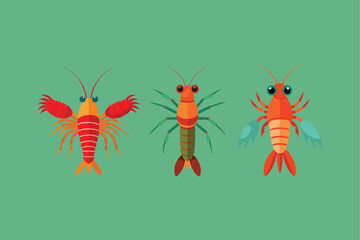 Wonderful creature Mantis Shrimp vector artwork