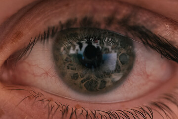 pupil of human eye