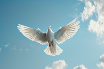 Obraz premium Dove Soaring with Wings Open in Blue Sky