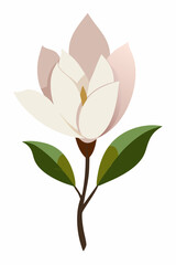 A stunning Bigleaf Magnolia flower vector artwork showcasing its large, elegant petals and unique shape, perfect for botanical designs, floral illustrations, and nature-inspired digital projects.