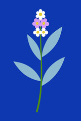 Obraz premium A delicate Butterfly Bush flower vector artwork featuring its clustered blooms and graceful shape, perfect for floral designs, botanical illustrations, and nature-themed digital projects.