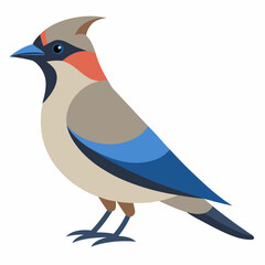 A detailed Cedar Waxwing bird vector artwork featuring its distinctive sleek feathers and colorful markings, ideal for wildlife illustrations, bird lovers, and nature-inspired designs.