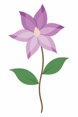 A beautiful Clematis flower vector art illustration featuring its intricate petals and delicate vines, perfect for floral designs, botanical projects, and nature-inspired artwork.