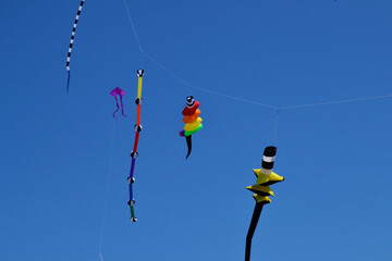 kites in the sky