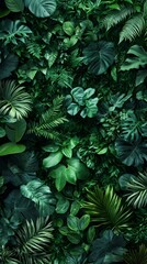 A lush, green wall of various leaves and plants, creating an enchanting backdrop for your product presentation. The texture is rich with shades of emerald to dark forest greens, providing a natural an