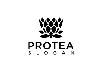 protea flower logo vector design