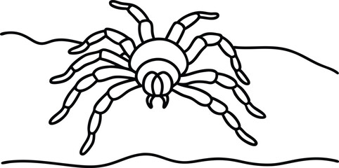 Creepy Crawly Tarantula Vector Art for Kids Coloring Adventure
