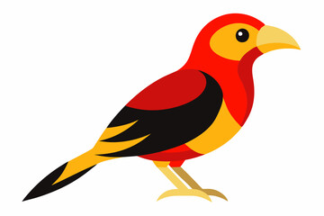 This is a vibrant vector artwork of a Red and Yellow Barbet bird, ideal for wildlife-themed designs, nature illustrations, and colorful digital projects.