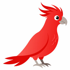 This is a vibrant and detailed vector artwork of a Red-breasted Cockatoo, perfect for nature-themed digital products, wildlife illustrations, and avian designs.