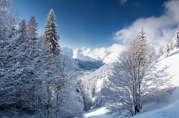 Obraz premium Winter landscape in the mountains against blue sky 